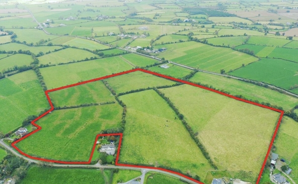 40 Acre  farm at Ballinagrana Carrick on Suir Co Tipperary