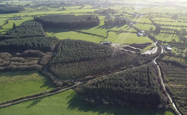 25.59 acres  of mature forestry at Boulavounteen Ballinamult Co Waterford.